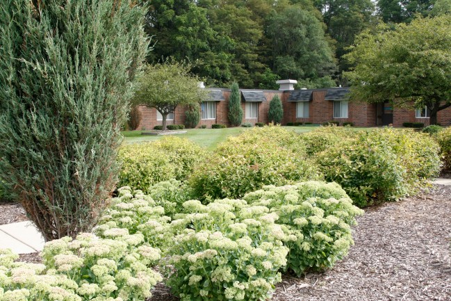 The Laurels of Bedford